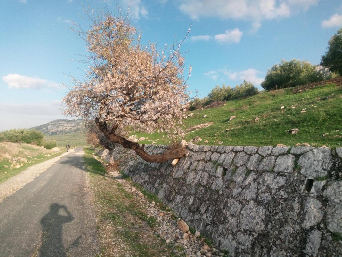 El Hechizo Del Bailon Vendégház Zuheros Kültér fotó